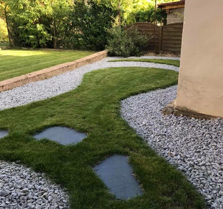 Rognage de souche à Lingolsheim : une opération stratégique !