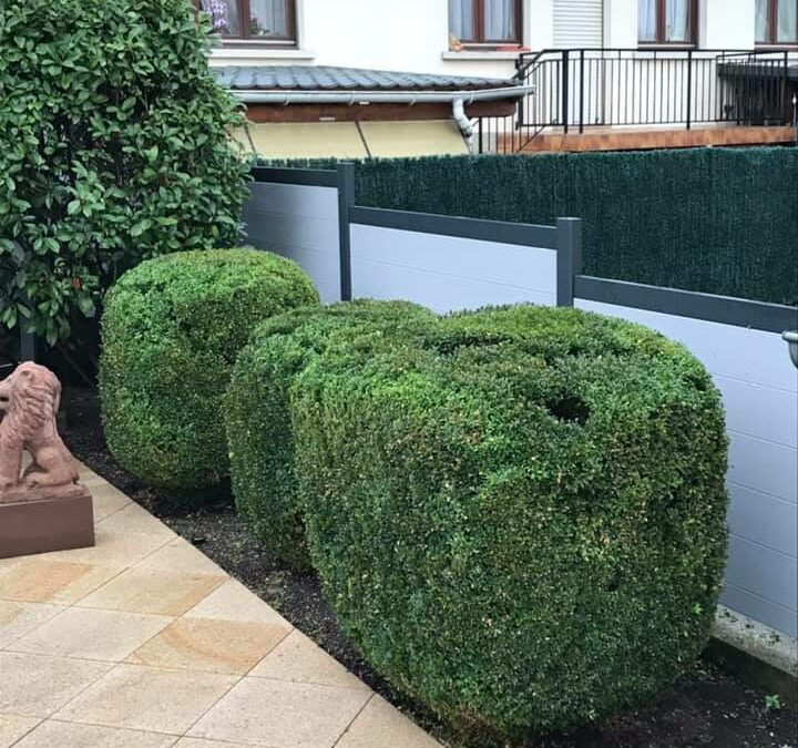 Paysagiste à Schirmeck : un spécialiste au service de votre jardin