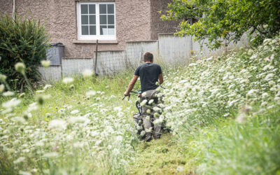 Paysagiste à Molsheim : pourquoi faire appel à un professionnel pour aménager un jardin ?