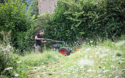 Besoin d’aide pour votre entretien de jardin à Molsheim ?