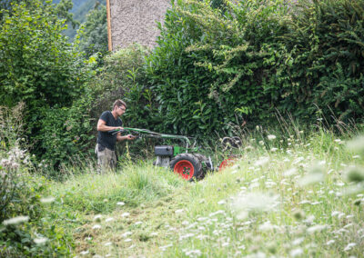 entretien de jardin à Molsheim