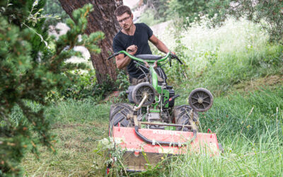 Faire appel à un professionnel pour votre entretien de jardin à Obernai